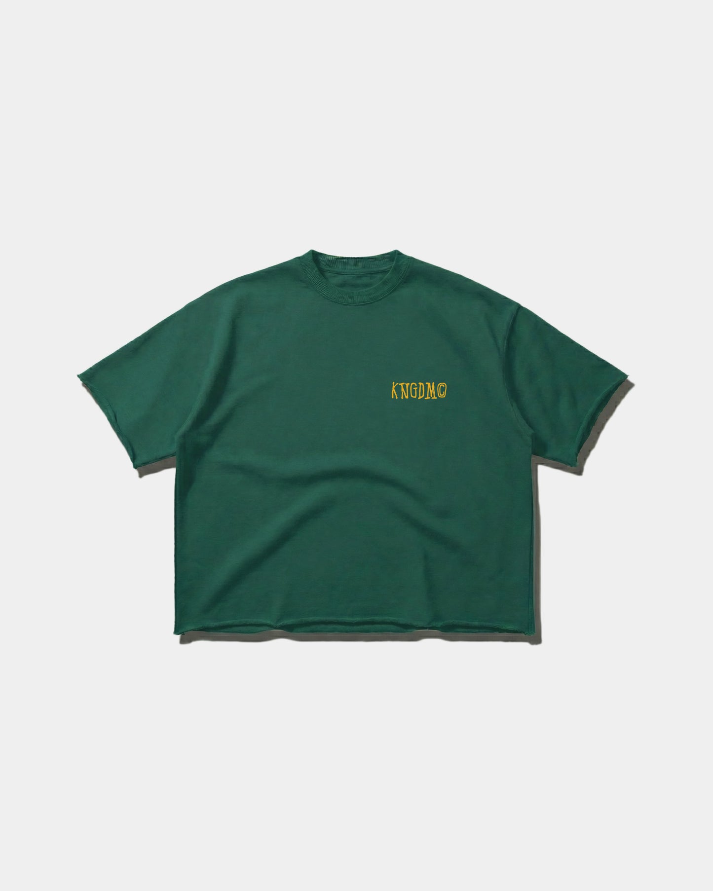 Follow The Son – Heavy Tee